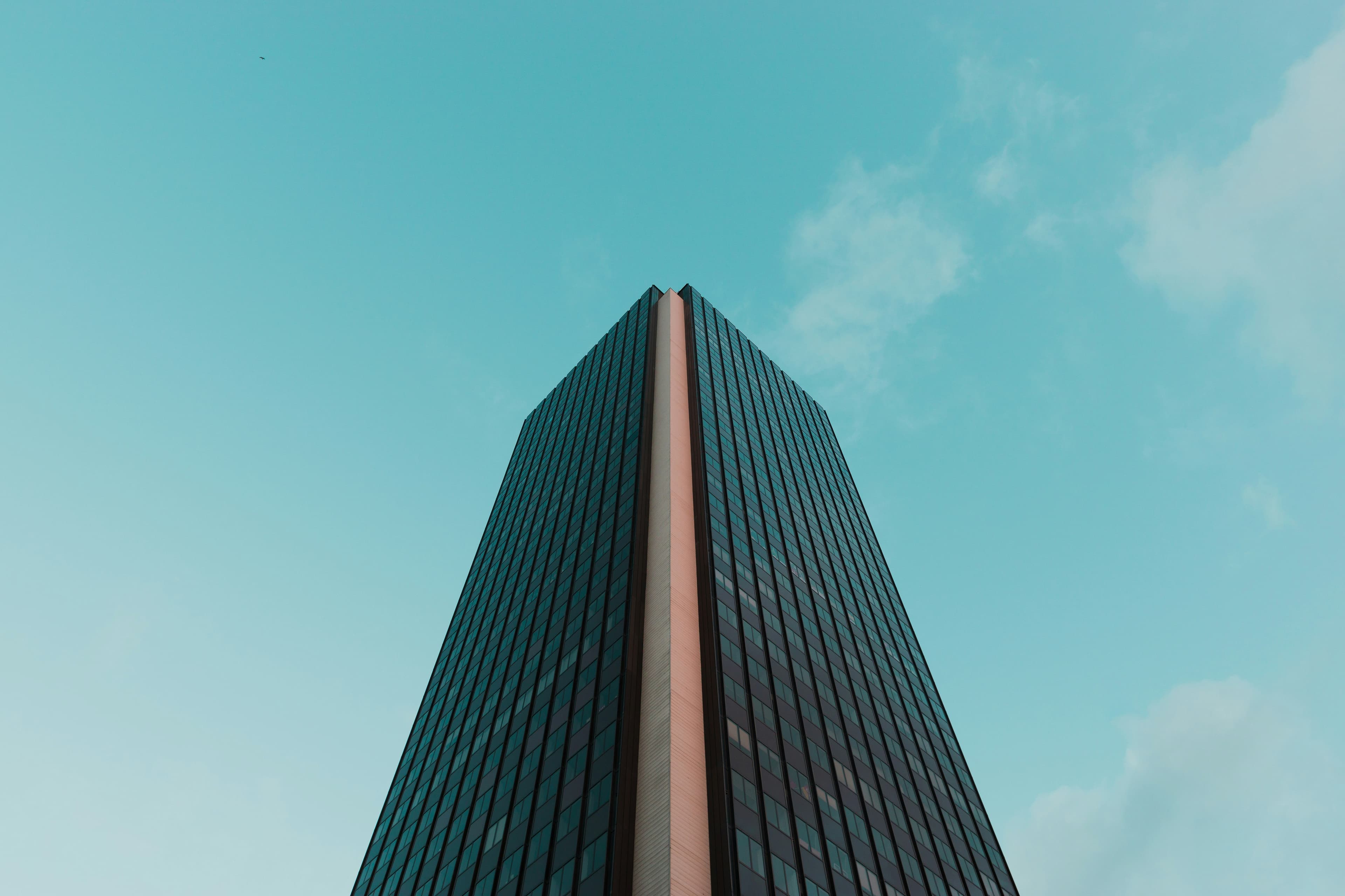 william-bout-TbTgtx7kmes-unsplash.jpg