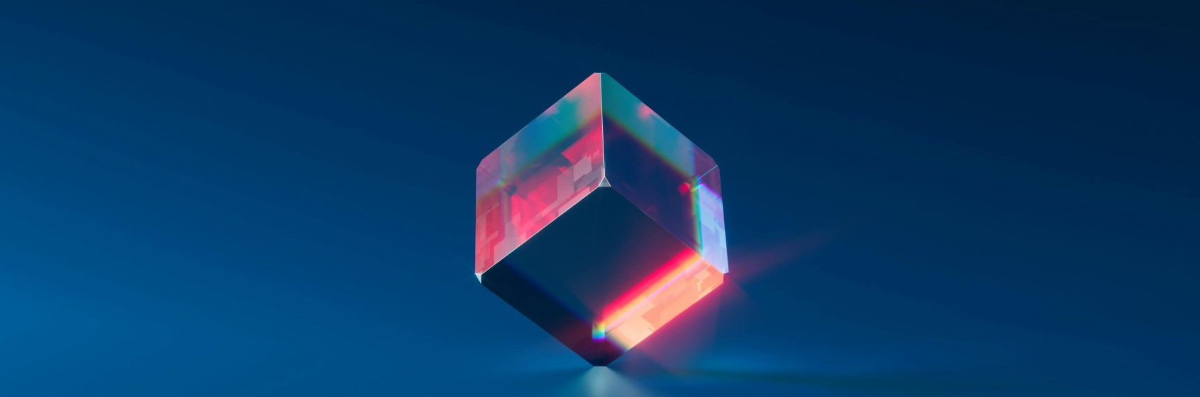 Consulting and Development Services